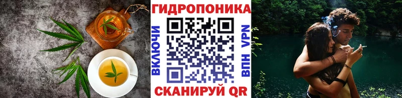 Canna-Cookies марихуана Горно-Алтайск