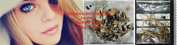 МДМА Козельск