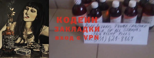 хмурый Козловка