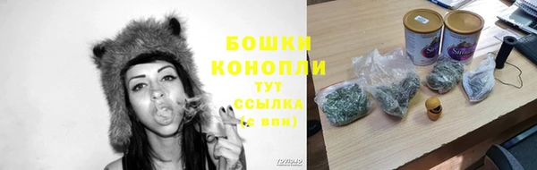 МДМА Козельск