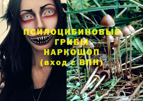 МДМА Козельск