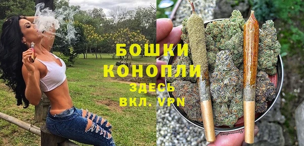 ALPHA PVP Кодинск