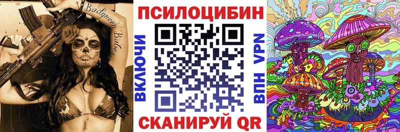 Галлюциногенные грибы прущие грибы  Купить закладки  Горно-Алтайск 