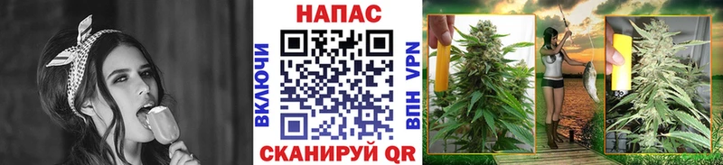 Шишки марихуана MAZAR  Купить где  Горно-Алтайск 