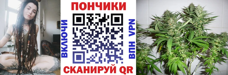 Канабис гибрид Горно-Алтайск